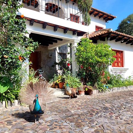 Hotel Y Jardines Casa Buho Antigua Exterior foto