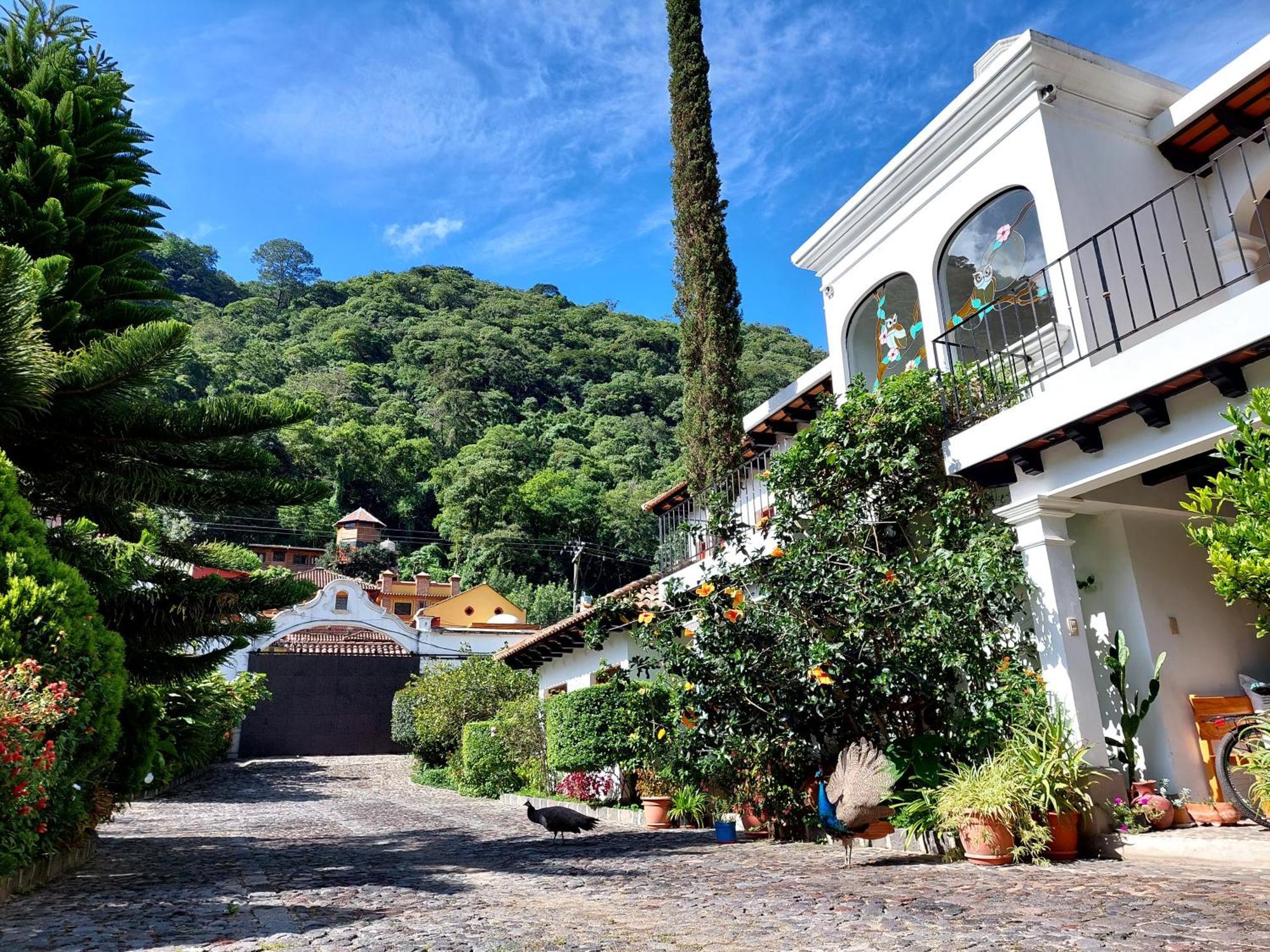 Hotel Y Jardines Casa Buho Antigua Exterior foto